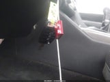 Miniaturka zdjęcia 11
