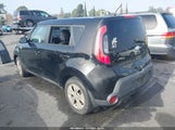 Miniaturka zdjęcia 3