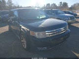 Ford Flex Sel 2FMEK62C49BA18695 fotografie