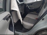 Miniaturka zdjęcia 8