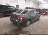 Toyota Corolla Le 2T1BU4EE4AC302102 снимка