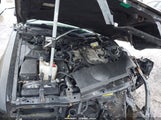 Infiniti Q45 JNKBY31A51M101506 снимка