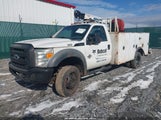 Ford F-550 Chassis Xl 1FDUF5HT0BEC07422 снимка