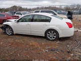 Nissan Maxima 3.5 Sl 1N4BA41E08C826712 снимка