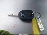 Miniaturka zdjęcia 11