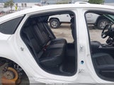Miniaturka zdjęcia 8