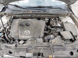 Miniaturka zdjęcia 10
