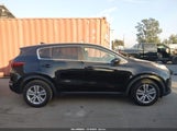 Kia Sportage Lx KNDPM3AC0H7262357 снимка