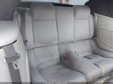 Miniaturka zdjęcia 8