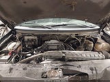 Ford F-150 Fx4/Lariat/Xl/Xlt 1FTPX14545NA92391 fotografie