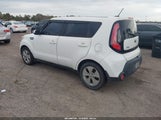 Miniaturka zdjęcia 3
