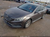 Hyundai Sonata Sport 5NPE34AF0FH097364 photo