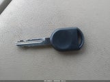 Miniaturka zdjęcia 11