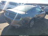 Ford Mustang V6 1ZVBP8AM9E5254303 снимка