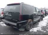 Cadillac Escalade Premium 1GYS4CEF2CR281885 fotografie
