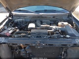 Ford F-150 Fx4/King Ranch/Lariat/Platinum/Xl/Xlt 1FTPW14V69FB05113 photo