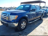 Ford F-150 Fx4/King Ranch/Lariat/Platinum/Xl/Xlt 1FTPW14V69FB05113 photo