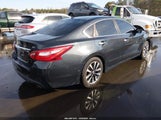 Nissan Altima 2.5/2.5 S/2.5 Sl/2.5 Sr/2.5 Sv 1N4AL3AP8GC219750 fotografie