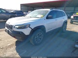 Jeep Cherokee Trailhawk 4X4 1C4PJMBN4LD537804 снимка