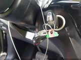 Miniaturka zdjęcia 11