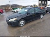 Miniaturka zdjęcia 2