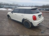 Miniaturka zdjęcia 3