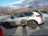 Nissan Rogue Platinum JN8BT3DD9TW291442 снимка