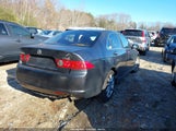 Acura Tsx JH4CL96836C038236 снимка