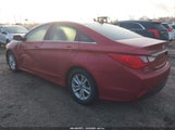Miniaturka zdjęcia 3