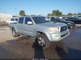Toyota Tacoma Prerunner V6 3TMJU62N95M004833 photo