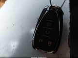 Miniaturka zdjęcia 11
