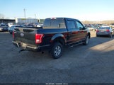 Ford F-150 Xl 1FTEW1EP8GFA49261 снимка