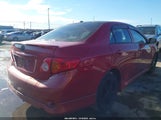 Toyota Corolla Le 1NXBU4EEXAZ177136 fotografie