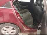 Miniaturka zdjęcia 8