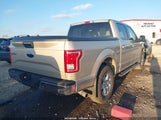 Ford F-150 Xlt 1FTEW1EG4HKC11993 снимка