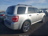 Ford Escape Xlt 1FMCU03158KE81137 снимка
