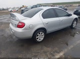 Dodge Neon Sxt 1B3AS56C95D268642 снимка