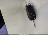 Miniaturka zdjęcia 11