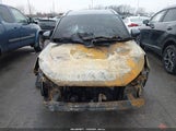 Miniaturka zdjęcia 6
