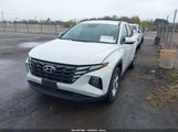 Hyundai Tucson Sel 5NMJB3DE0RH381609 снимка