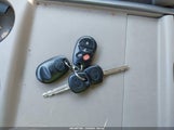 Miniaturka zdjęcia 11
