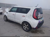 Miniaturka zdjęcia 3