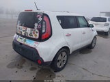 Miniaturka zdjęcia 4