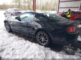 Ford Mustang V6 Premium 1ZVBP8AM8B5152230 снимка