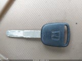 Miniaturka zdjęcia 11