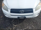 Miniaturka zdjęcia 6