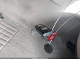 Miniaturka zdjęcia 11