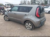 Miniaturka zdjęcia 3