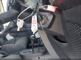 Miniaturka zdjęcia 11