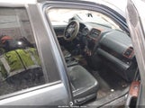 Honda Cr-V Se JHLRD78926C046060 снимка